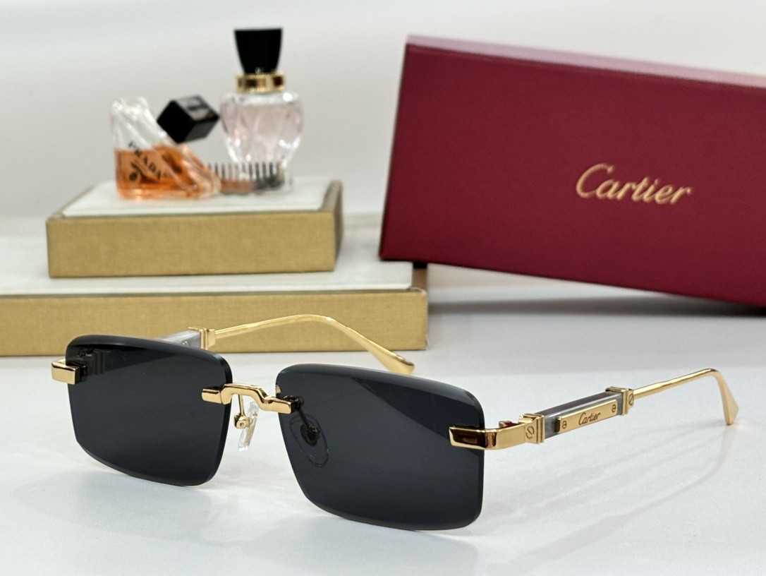 Cartier Glasses CT0630
