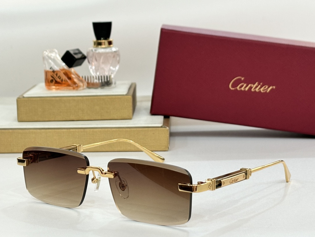 Cartier Glasses CT0630