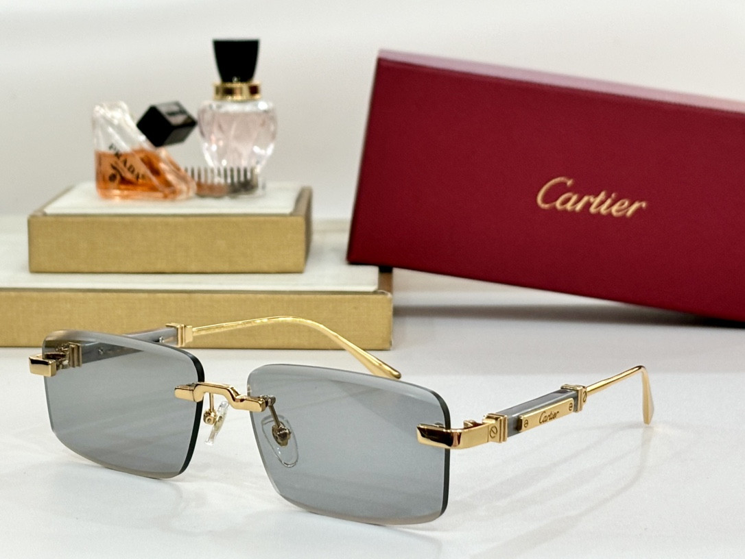 Cartier Glasses CT0630