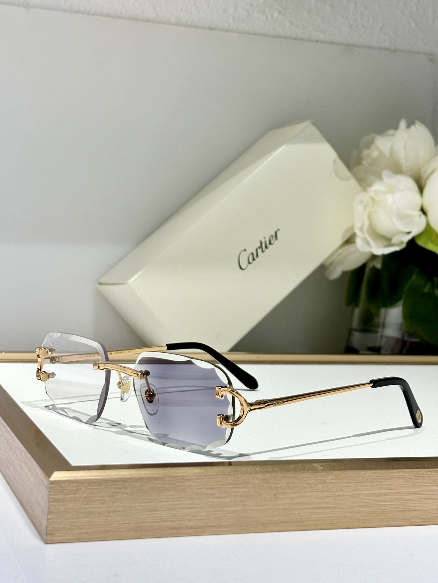 Cartier Glasses Photochromic lenses CT0092 55-18-145