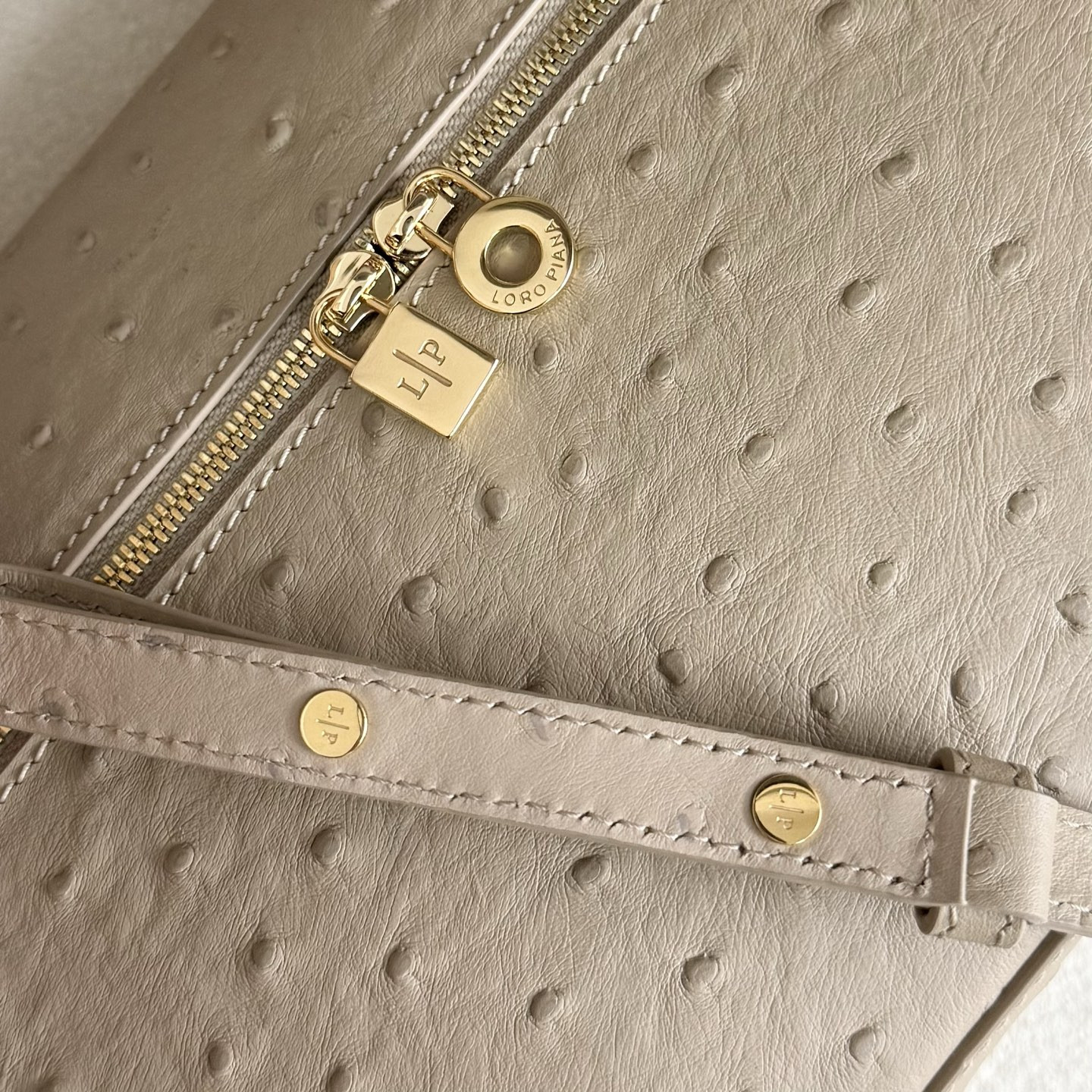 Loro Piana Extra Pocket L27 Ostrich-grained Leather 16x27x10cm