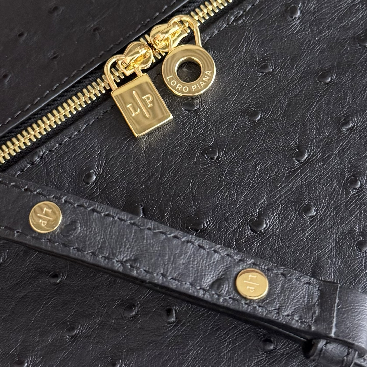 Loro Piana Extra Pocket L27 Ostrich-grained Leather 16x27x10cm