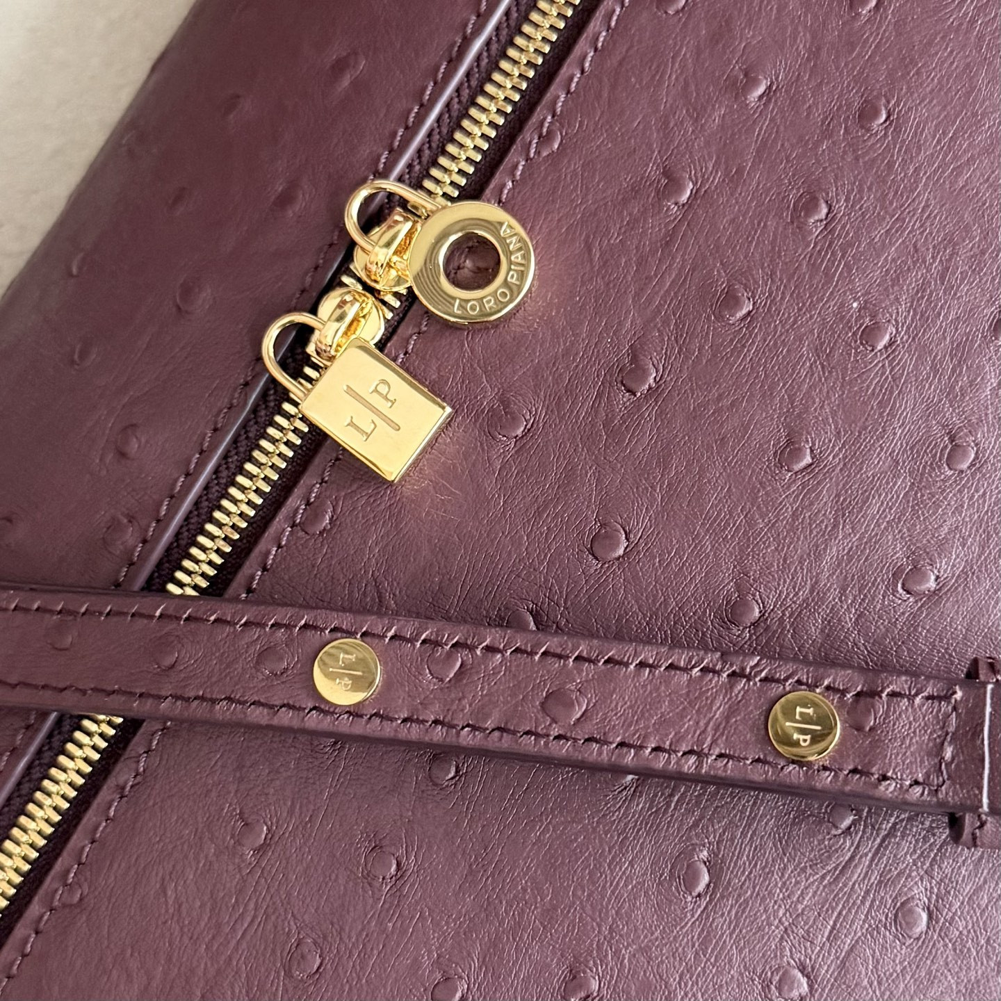 Loro Piana Extra Pocket L27 Ostrich-grained Leather 16x27x10cm