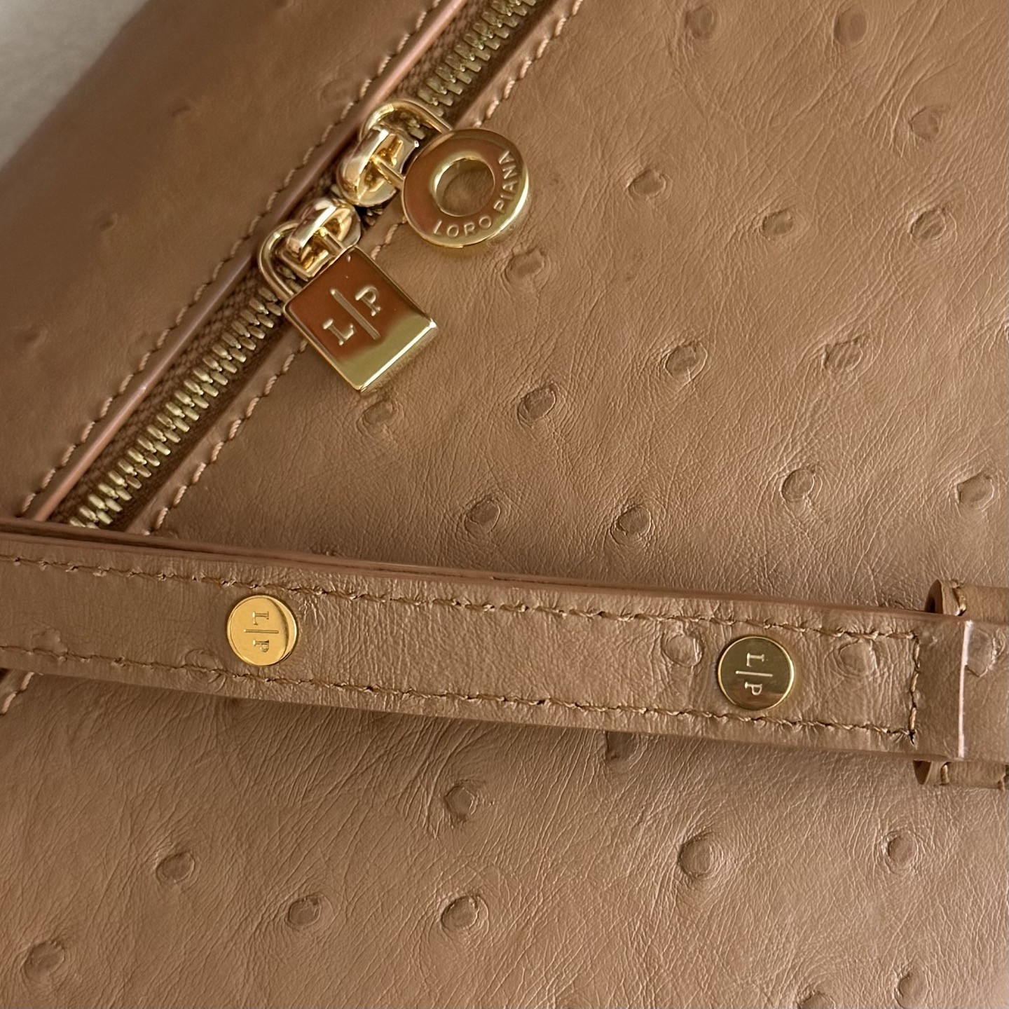 Loro Piana Extra Pocket L27 Ostrich-grained Leather 16x27x10cm