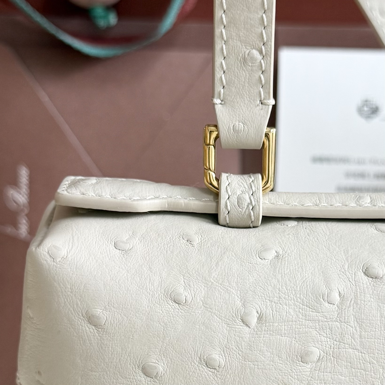 Loro Piana Extra Pocket L27 Ostrich-grained Leather 16x27x10cm