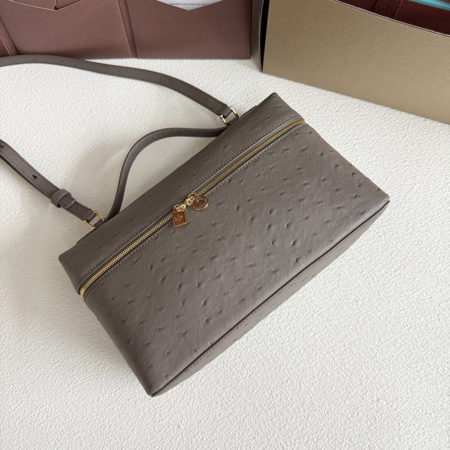 Loro Piana Extra Pocket L27 Ostrich-grained Leather 16x27x10cm