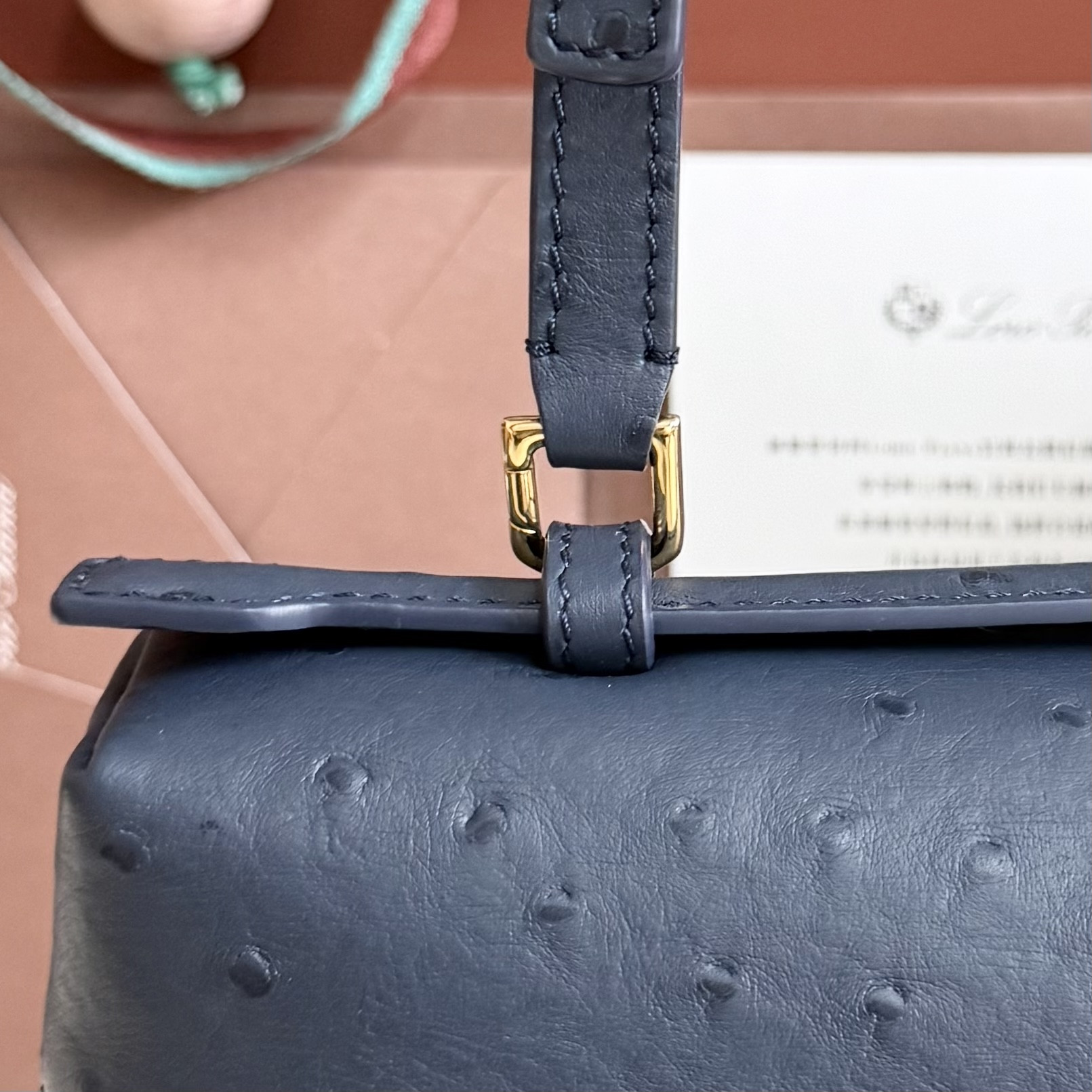 Loro Piana Extra Pocket L27 Ostrich-grained Leather 16x27x10cm