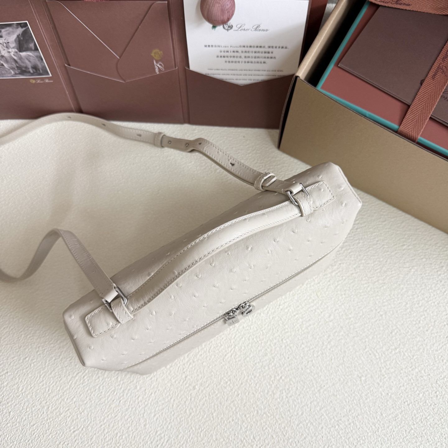 Loro Piana Extra Pocket L27 Ostrich-grained Leather 16x27x10cm